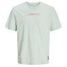 Jorhaze Tee Ss Crew Neck Lfd24 
